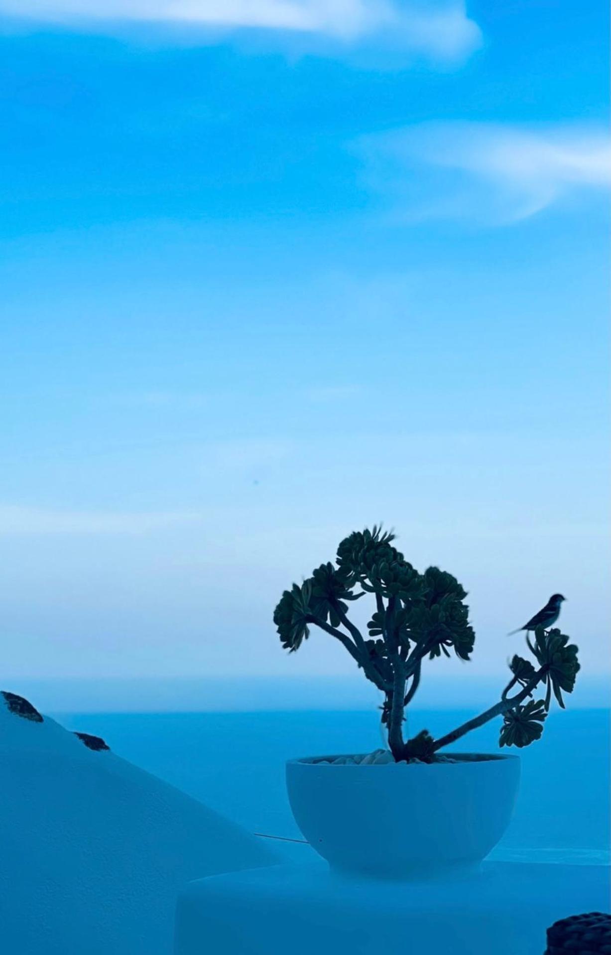 Villa Kastelli88 Santorini Pyrgos Kültér fotó